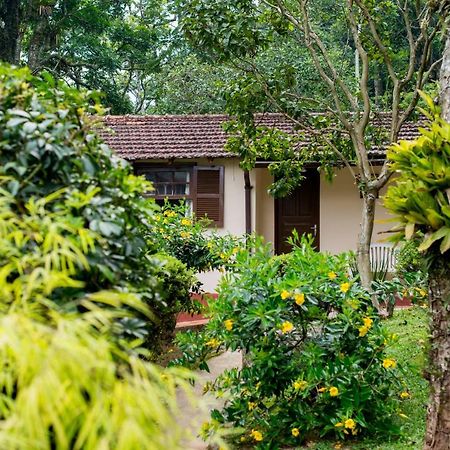 Vila Casa Do Lenhador Petrópolis Exteriér fotografie
