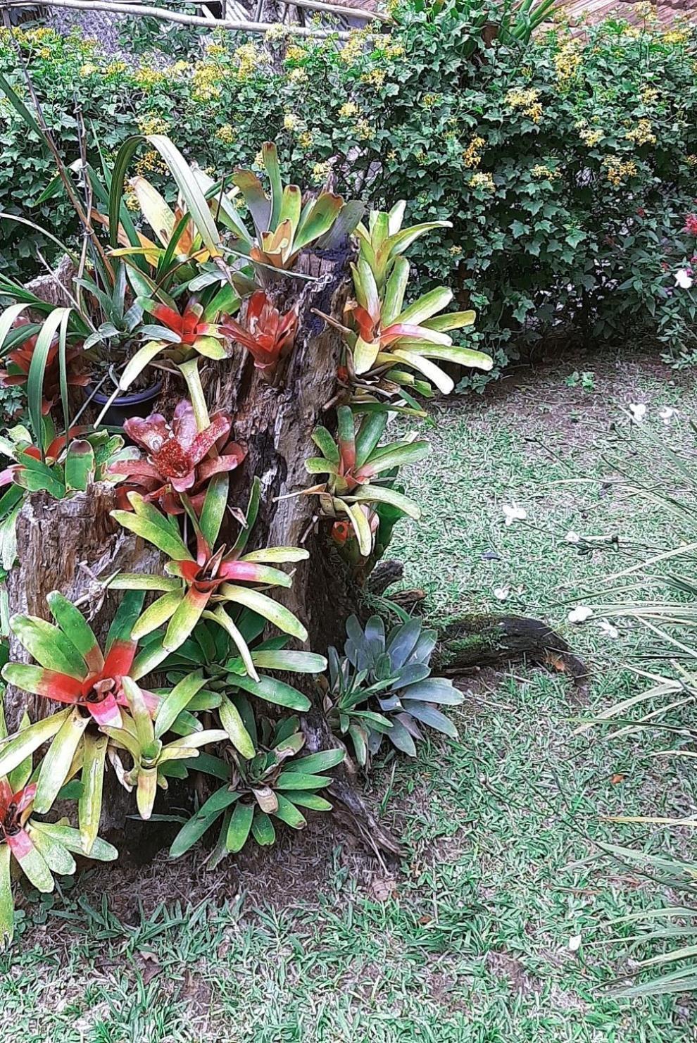Vila Casa Do Lenhador Petrópolis Pokoj fotografie